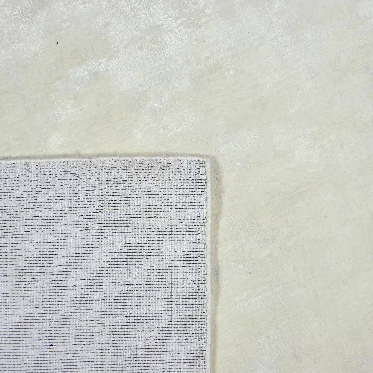 CASEIN - Image 4