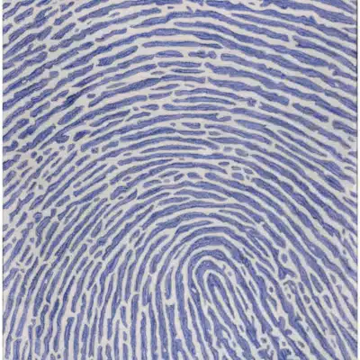 THUMBS UP<span></noscript> - </span>230 x 160 cm, Blue