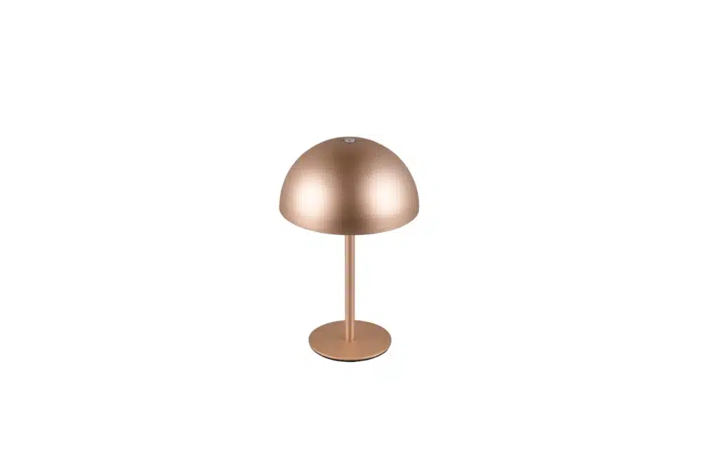 MUNOZ - Image 7